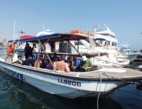 Daily Boat Dives!